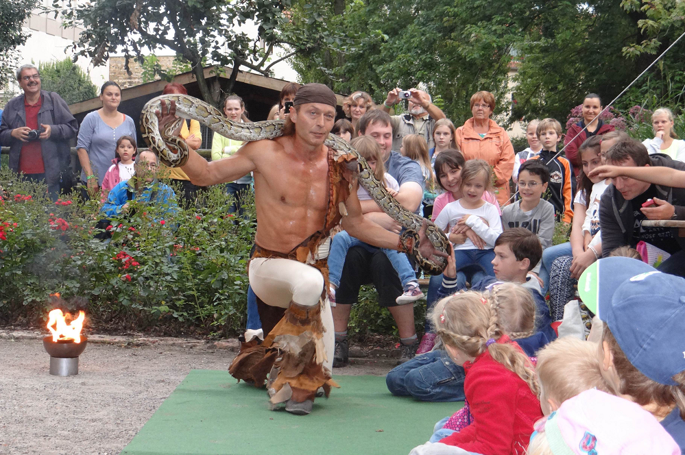 Dschungelshow mit Feuershow am Nachmittag Dschungelshow mit Feuershow am Nachmittag